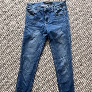 Prosperity Denim Women's Classic Blue Skinny Jeans